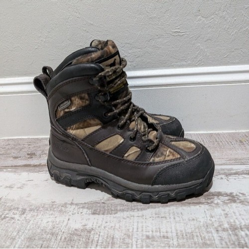 Red wing irish - irish, setter