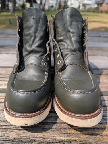 Red wing irish - setter, sport